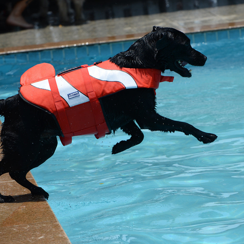 Mermaid & Shark Dog Life Vest