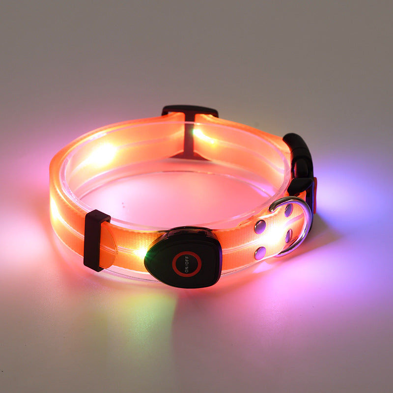 Rechargeable Glow Collar & Leash – Be Seen Anywhere