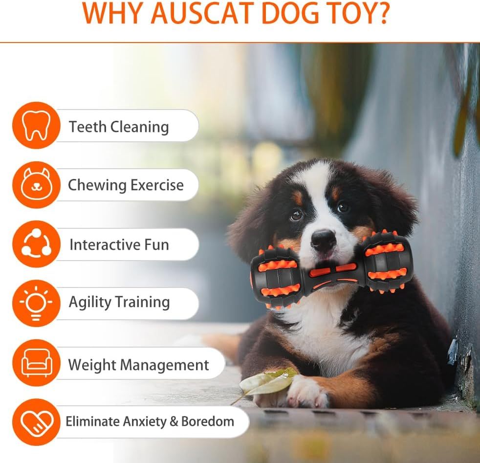 Tough Squeaky Dog Toy – Built for Endless Chewing