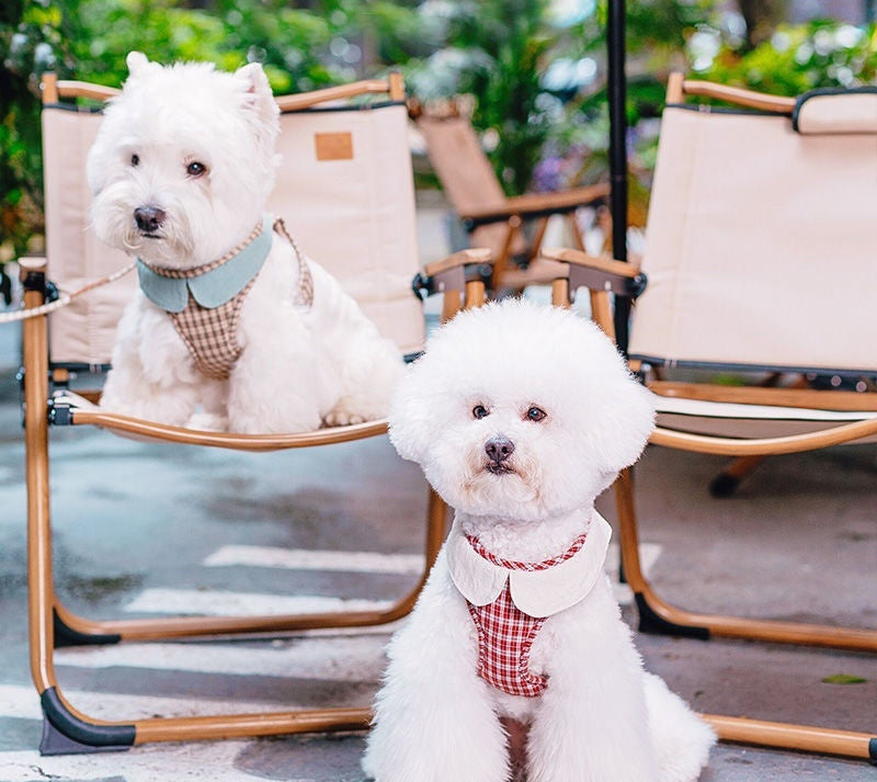 Chic Small Dog Vest Harness
