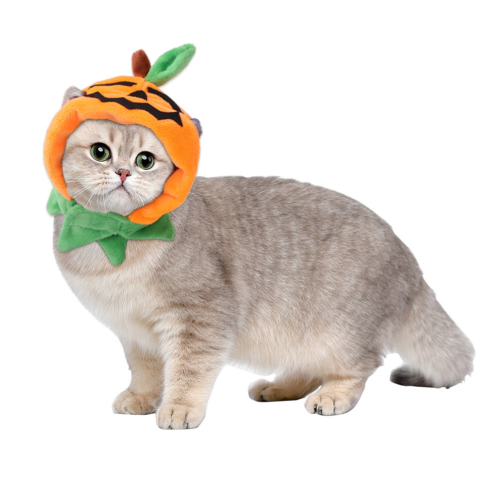 Funny Pet Hat – Adorable Dress-Up for Cats & Dogs