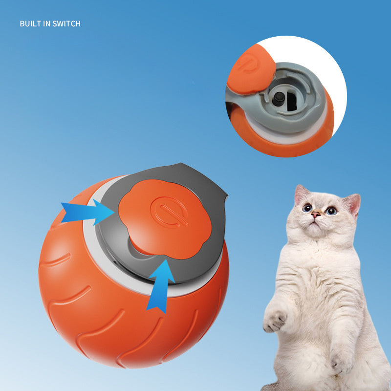 Rechargeable Cat Toy for Nonstop Tail-Chasing Fun