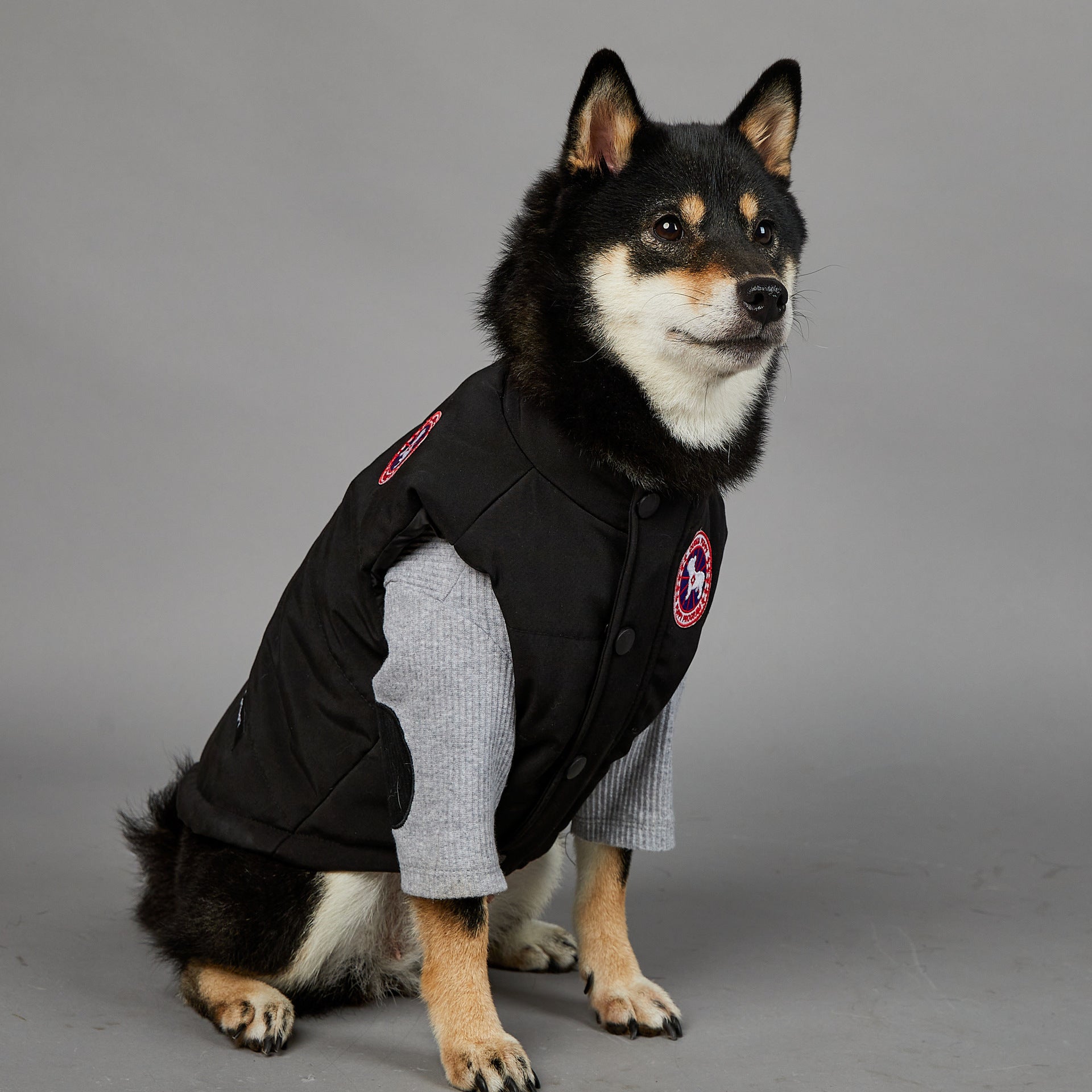 Warm Winter Coat for Large Dogs