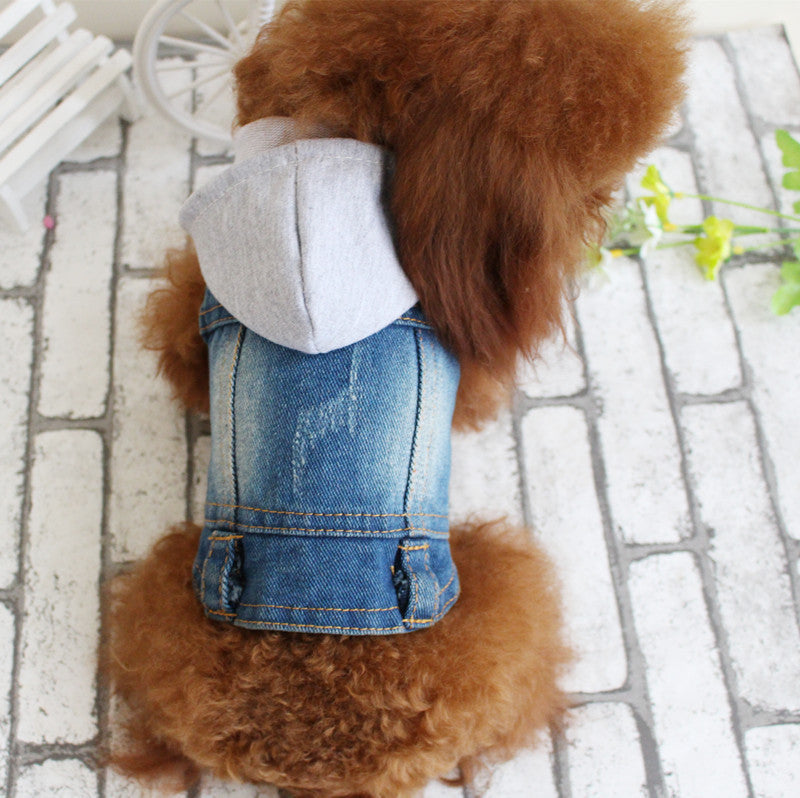 Stylish Denim Dog Vest for VIP Pups