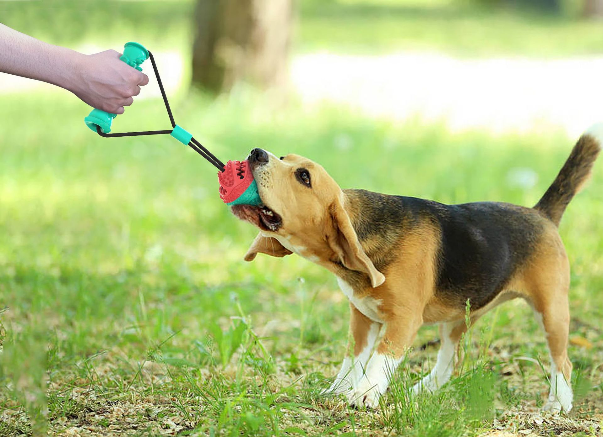 Fun Pet Rope Toy