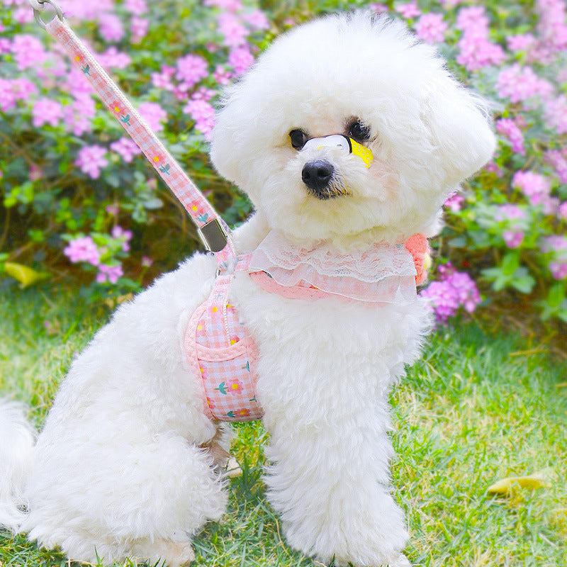 Charming Small Dog Vest with Handy Holding Rope