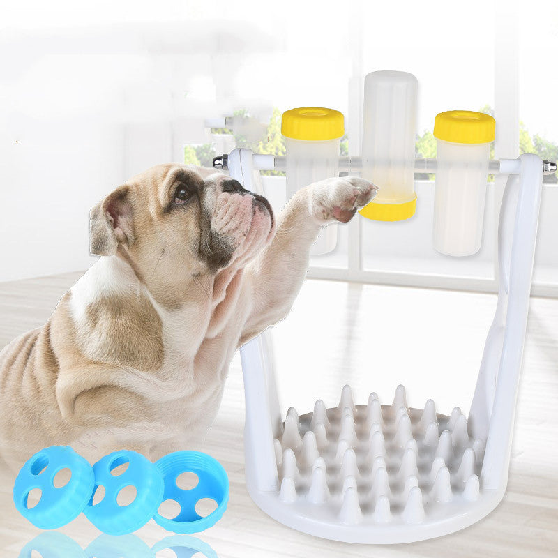 Pet Wisdom Bowl for Healthy, Joyful Pets
