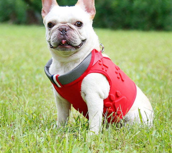 Strong & Stylish Dog Vest