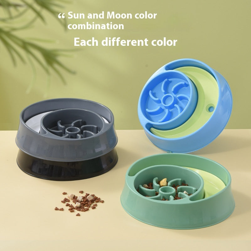 2-in-1 Cat Bowl for Food & Water