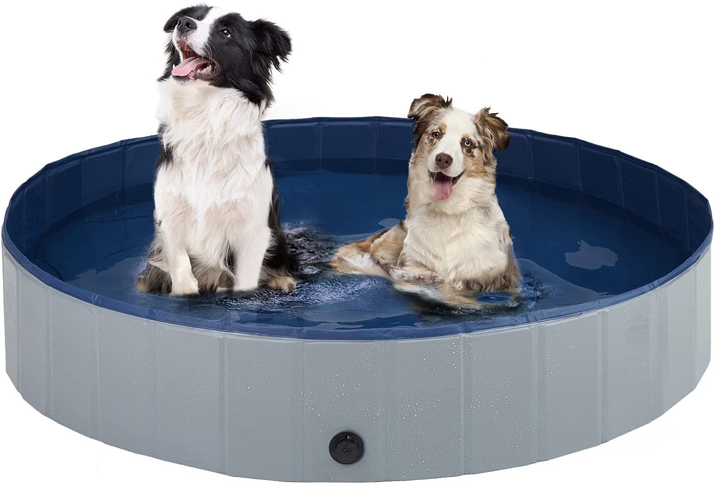 Quick-Set Pet Pool for Outdoor Water Fun