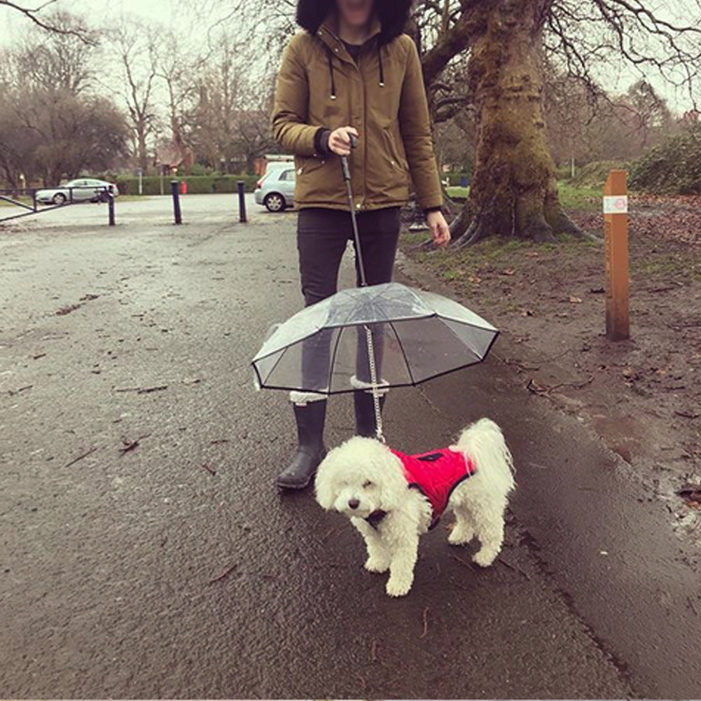 Umbrella Leash Combo – Dry Walks for Your Pup