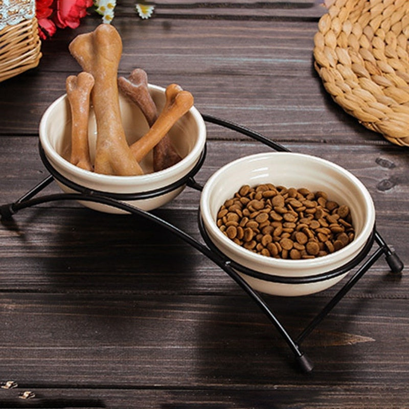 Dual Pet Bowl with Stylish Iron Stand