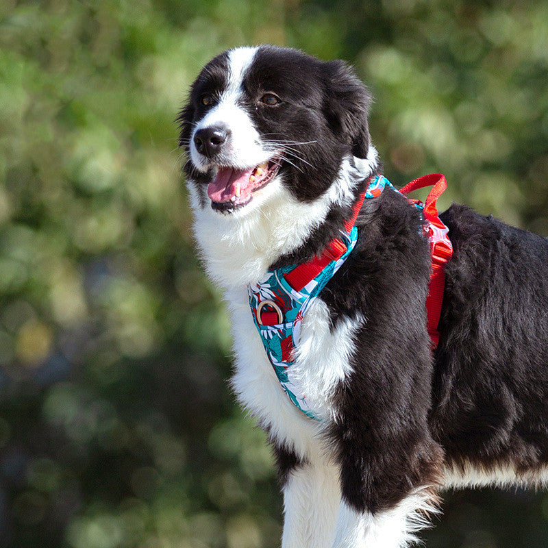Durable Dog Vest Harness