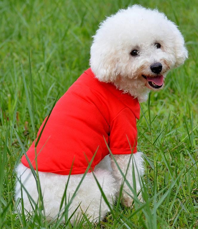 Airy & Soft Thin Dog Vest