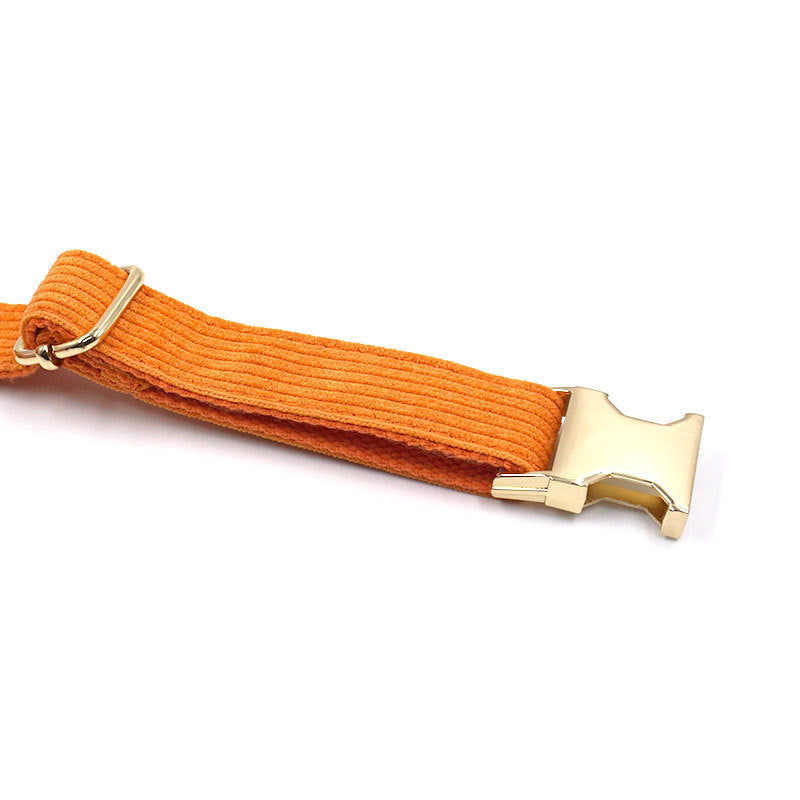 Soft Corduroy Dog Collar – Stylish, Strong, and Cozy