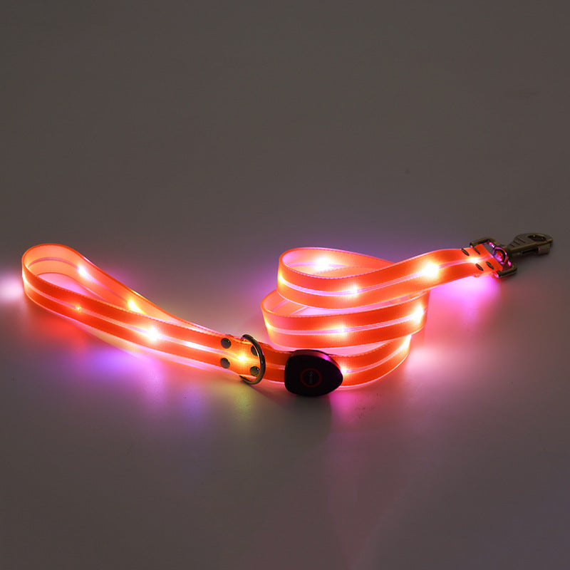 Rechargeable Glow Collar & Leash – Be Seen Anywhere