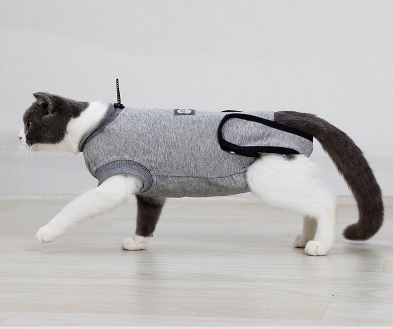 Cat Recovery Suit – Comfy Healing After Surgery