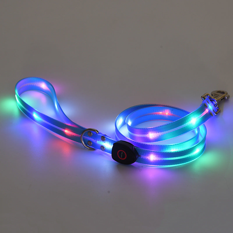 Rechargeable Glow Collar & Leash – Be Seen Anywhere