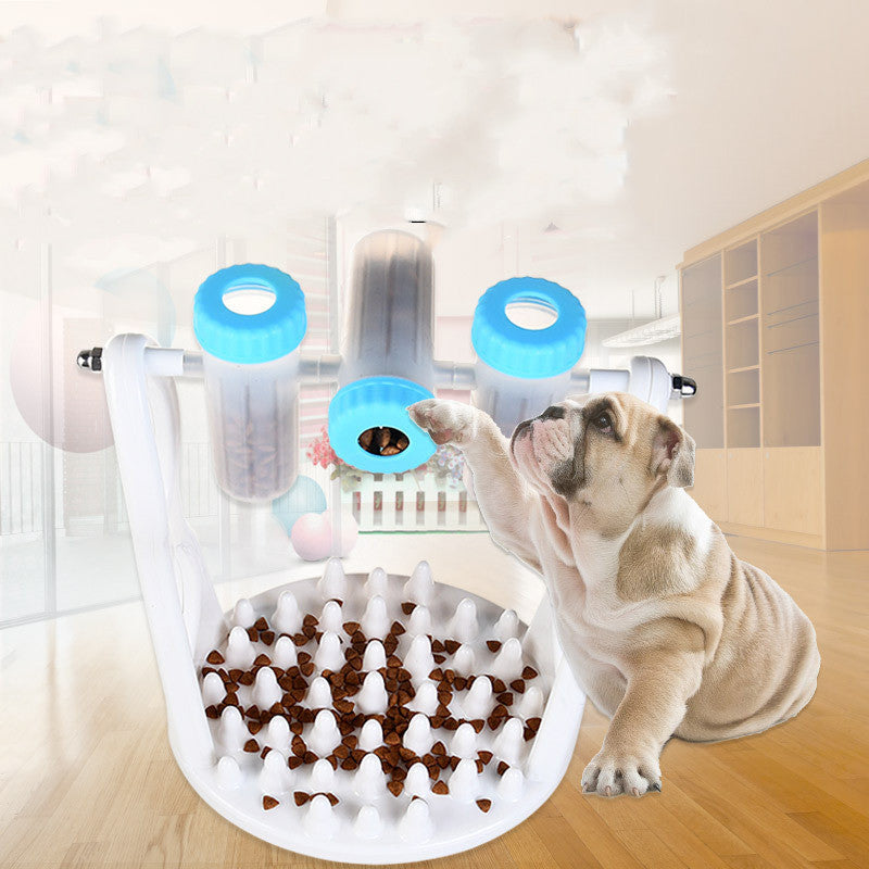Pet Wisdom Bowl for Healthy, Joyful Pets