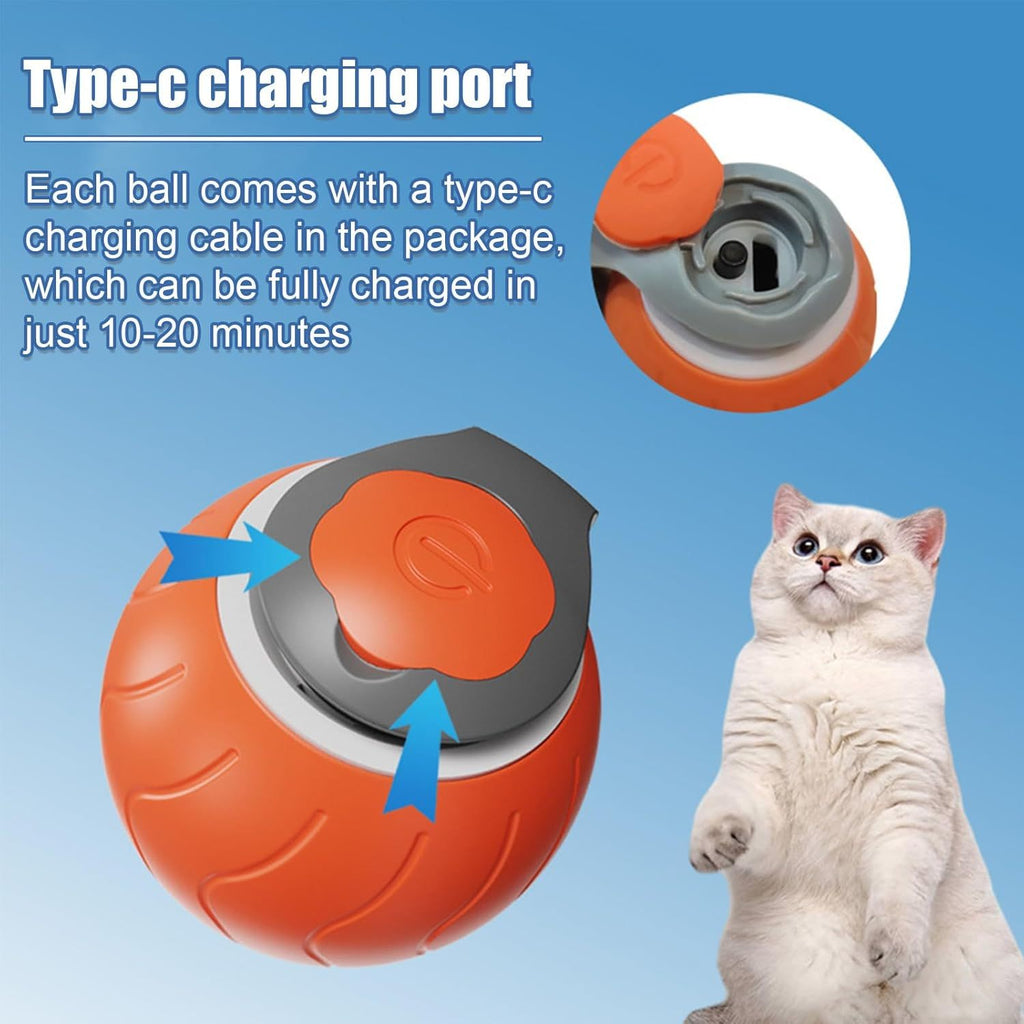 Rechargeable Cat Toy for Nonstop Tail-Chasing Fun