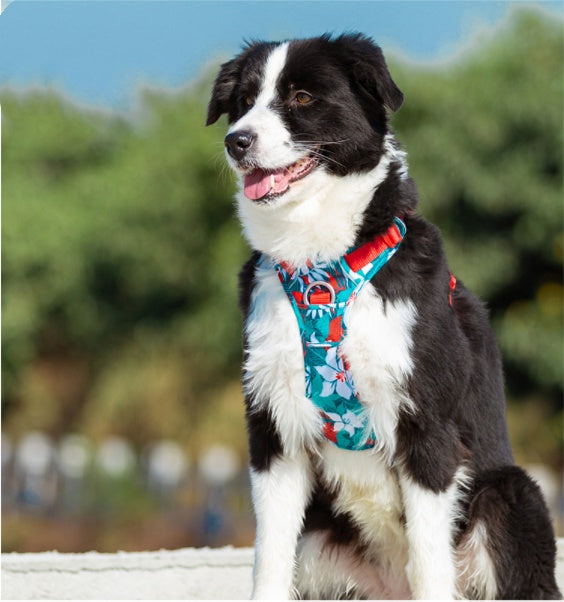 Durable Dog Vest Harness