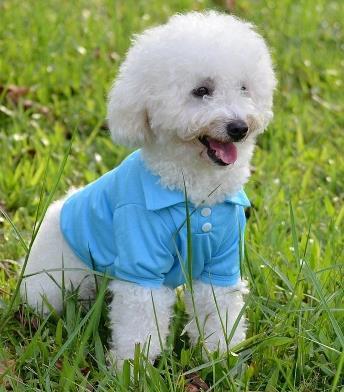 Airy & Soft Thin Dog Vest