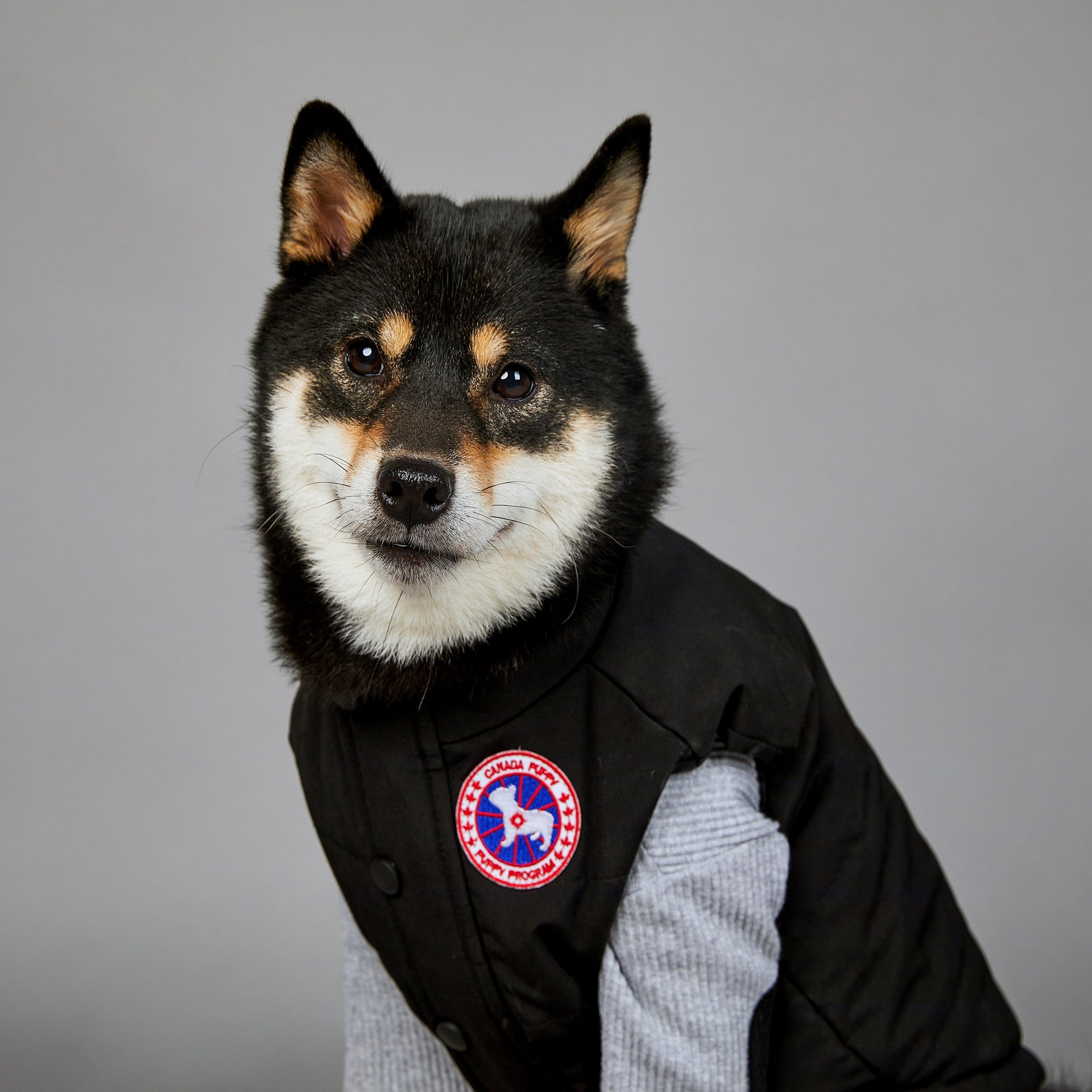 Warm Winter Coat for Large Dogs