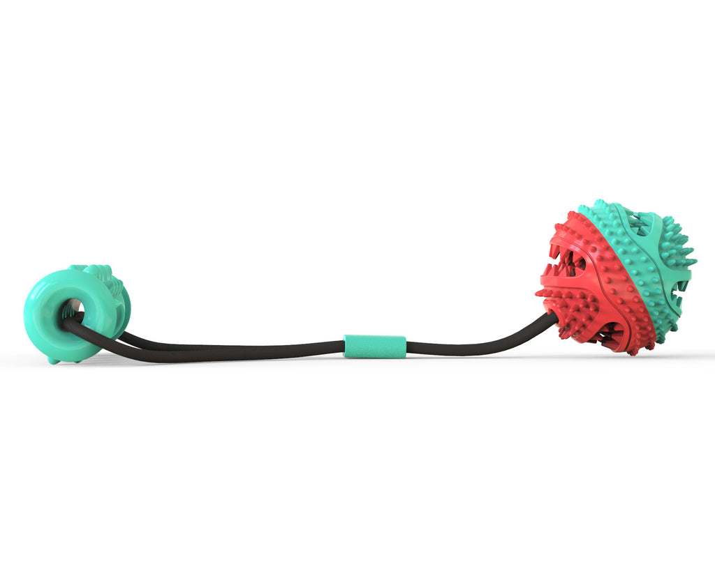 Fun Pet Rope Toy