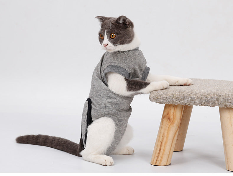 Cat Recovery Suit – Comfy Healing After Surgery