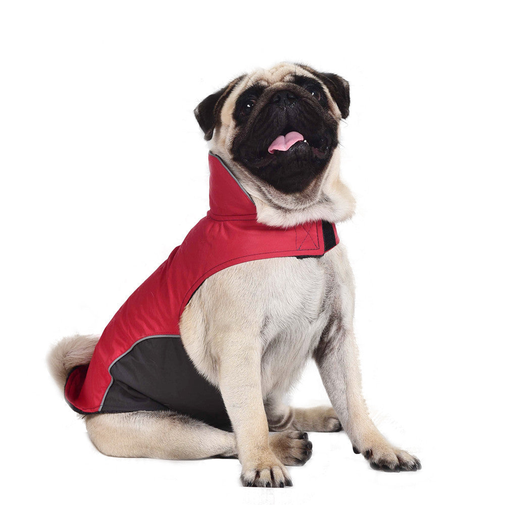 Trendy Dog Jacket Vest for Happy Walks