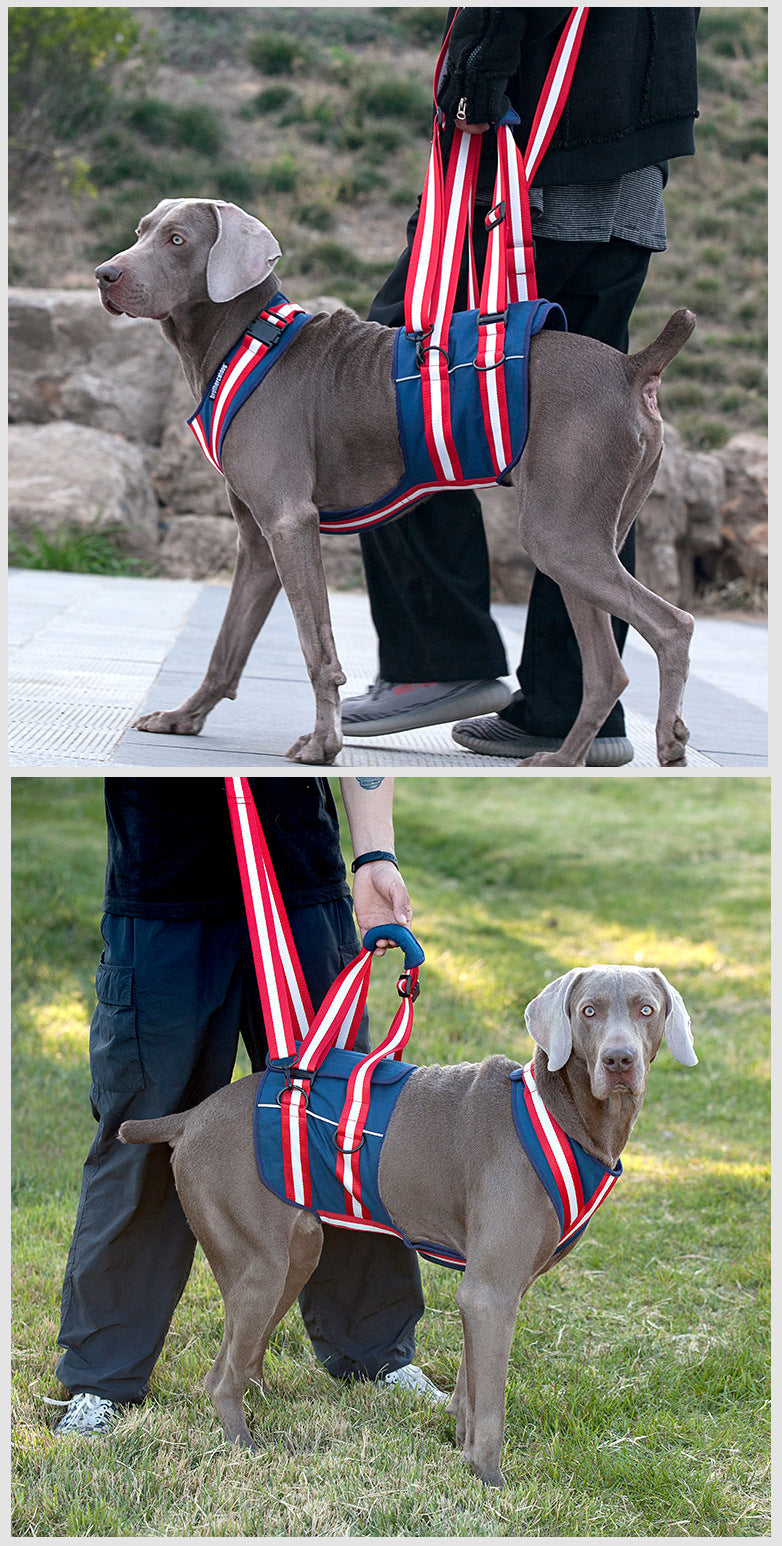 Supportive Dog Harness – Gentle Help for Senior Pups