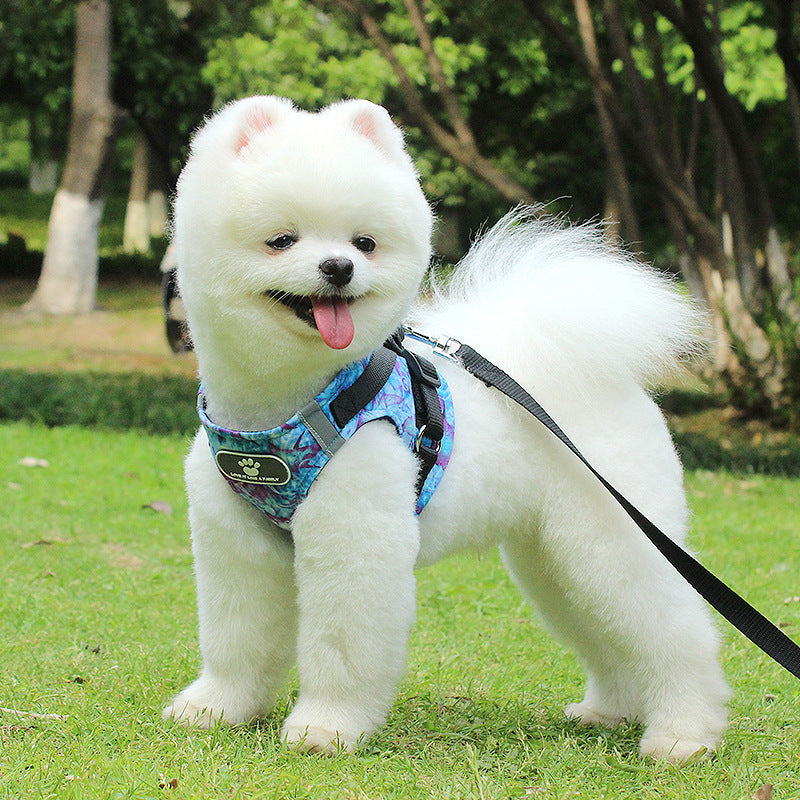 Safe & Snug Dog Traction Vest