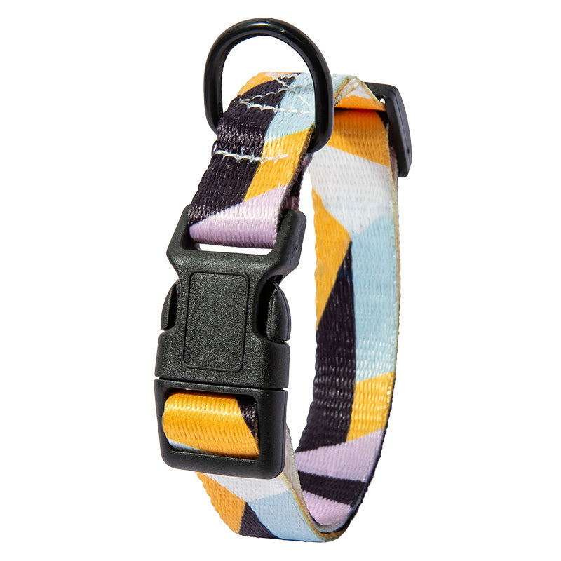 Durable Dog Collar & Leash – Walk in Style