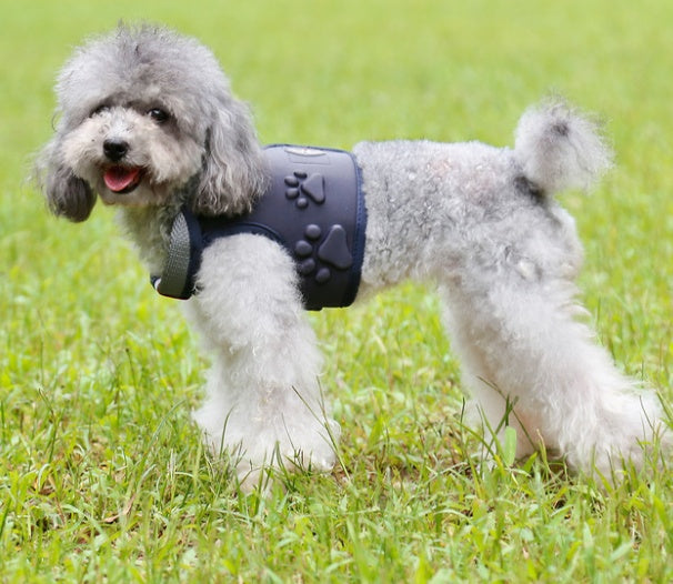 Strong & Stylish Dog Vest