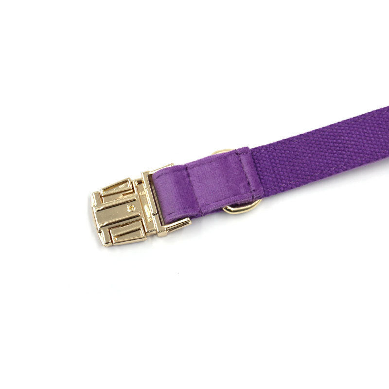 Velvet Dog Collar – Elegant, Comfy & Walk-Ready Style