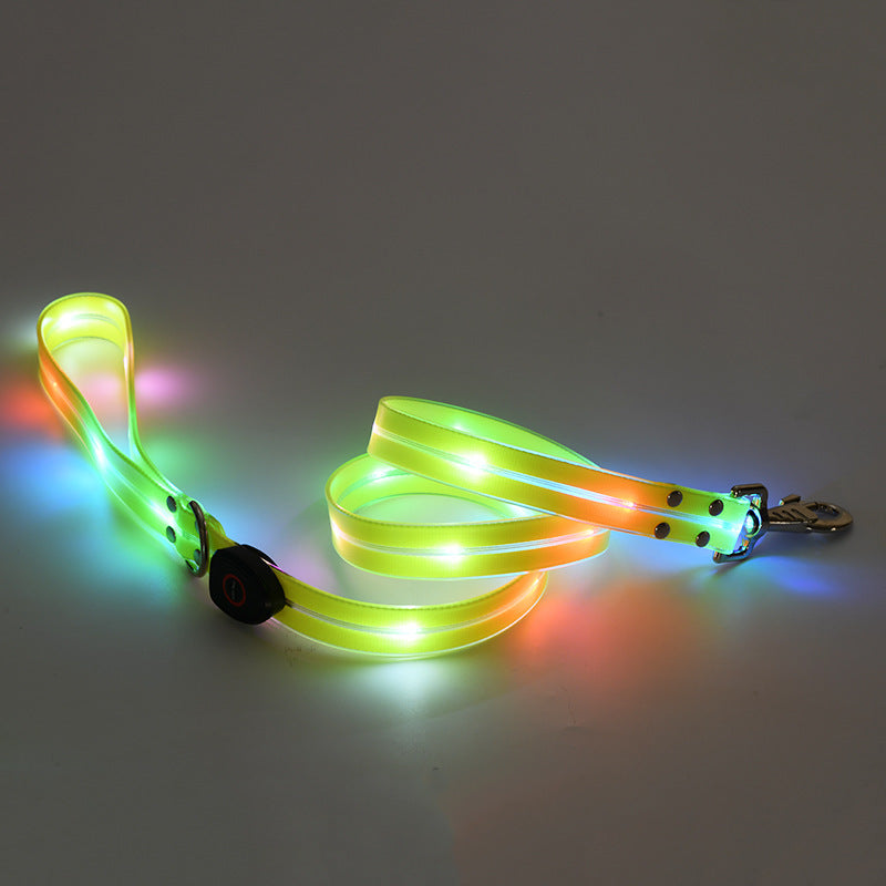 Rechargeable Glow Collar & Leash – Be Seen Anywhere