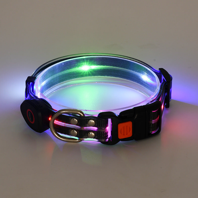 Rechargeable Glow Collar & Leash – Be Seen Anywhere