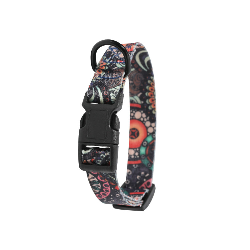 Durable Dog Collar & Leash – Walk in Style