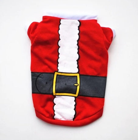Festive Dog Christmas Sweatshirt