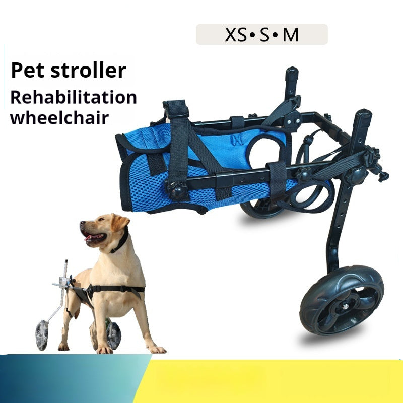 Dog Wheelchair – Support for Happy, Active Pets