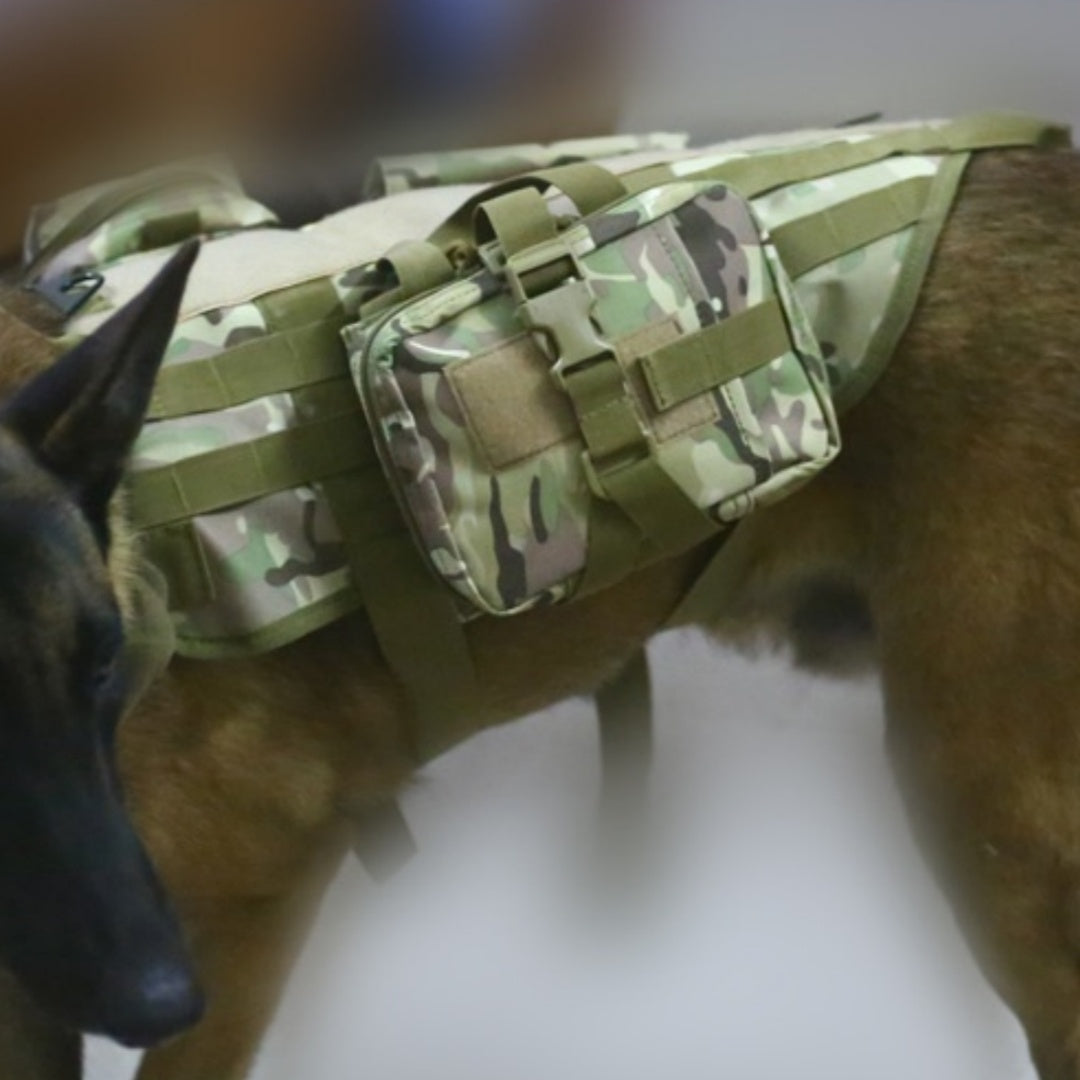 Protective Tactical Dog Vest for Outdoor Adventures