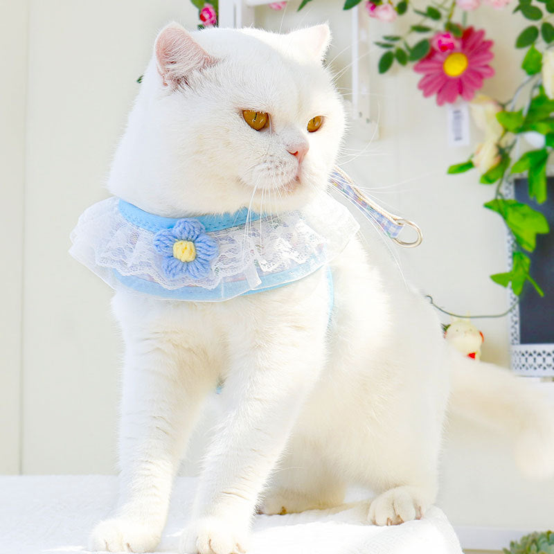 Charming Small Dog Vest with Handy Holding Rope