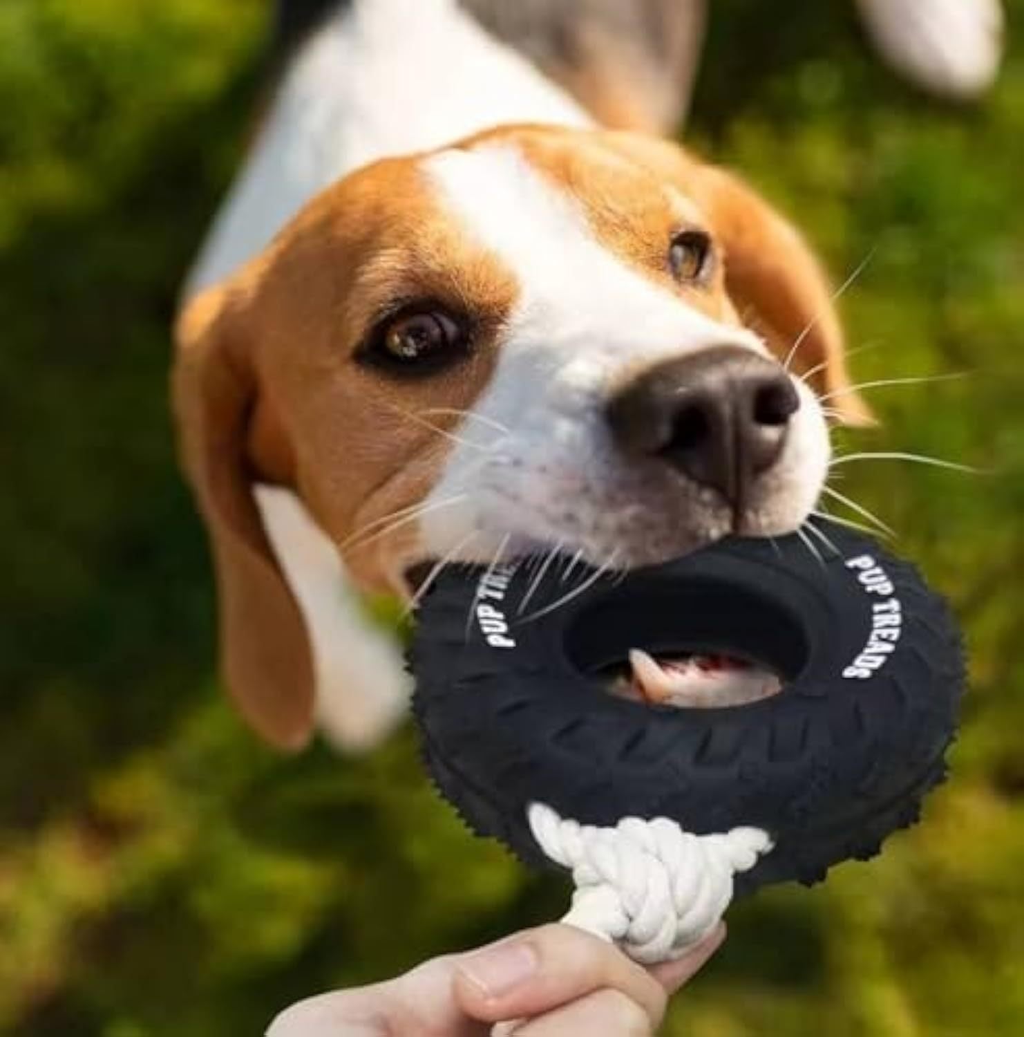 Heavy-Duty Dog Toy