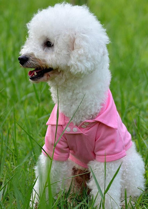 Airy & Soft Thin Dog Vest