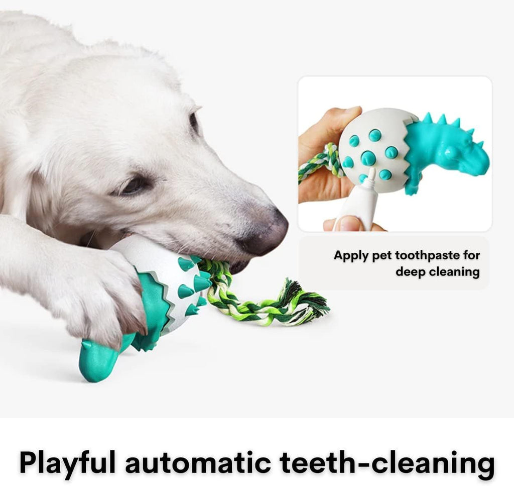 Durable Dog Chew Toy – Fun for Strong Chewers