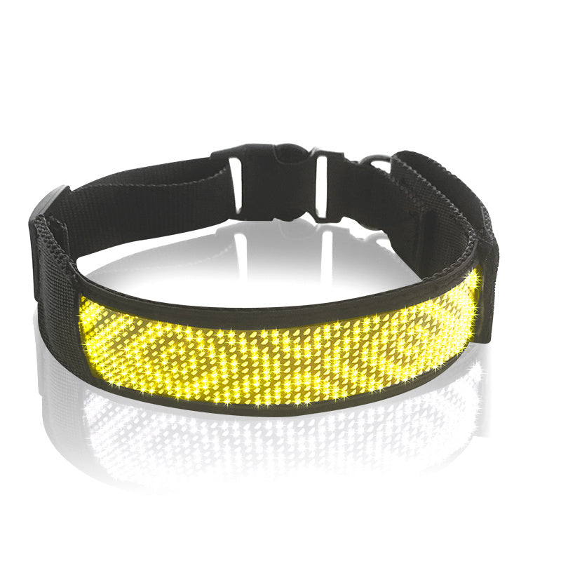 Glow-in-the-Dark Collar – Style Meets Safety