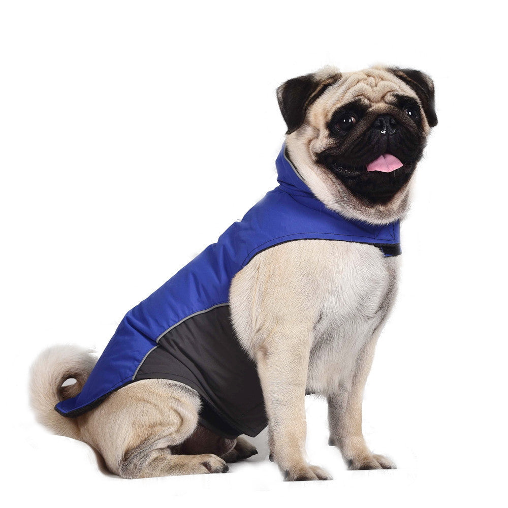 Trendy Dog Jacket Vest for Happy Walks