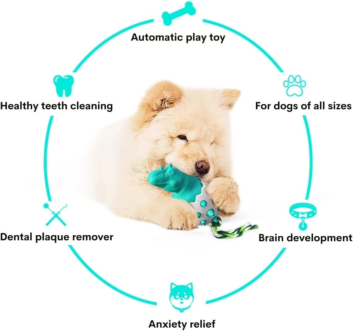 Durable Dog Chew Toy – Fun for Strong Chewers