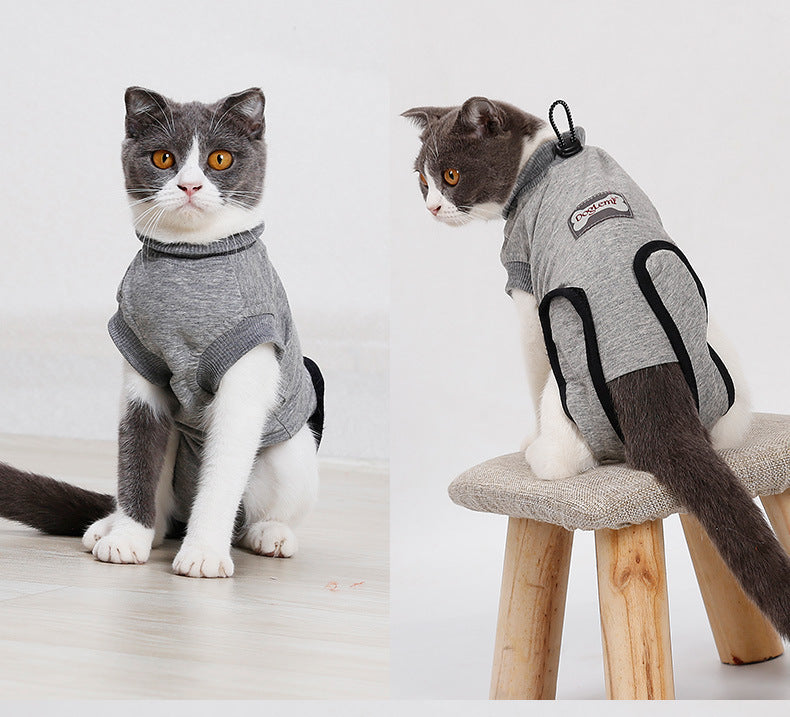 Cat Recovery Suit – Comfy Healing After Surgery