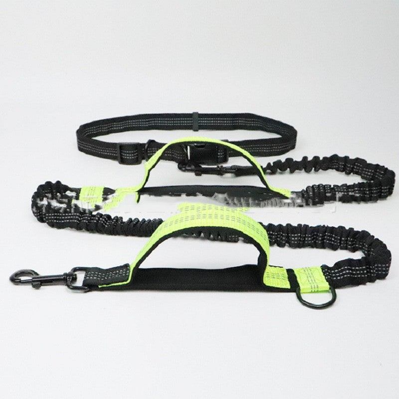 Pet Traction Rope – Strong, Comfortable Daily Walks